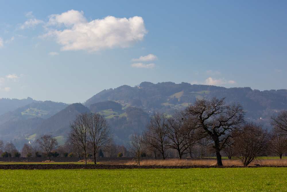 Lauteracherried im Jänner 28